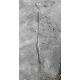 MOSZENKI POŁUDNIOWE miododajna - sadzonki 30 / 40 cm